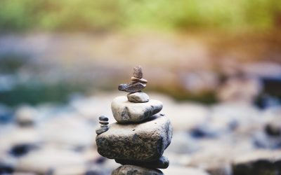 Blog 2